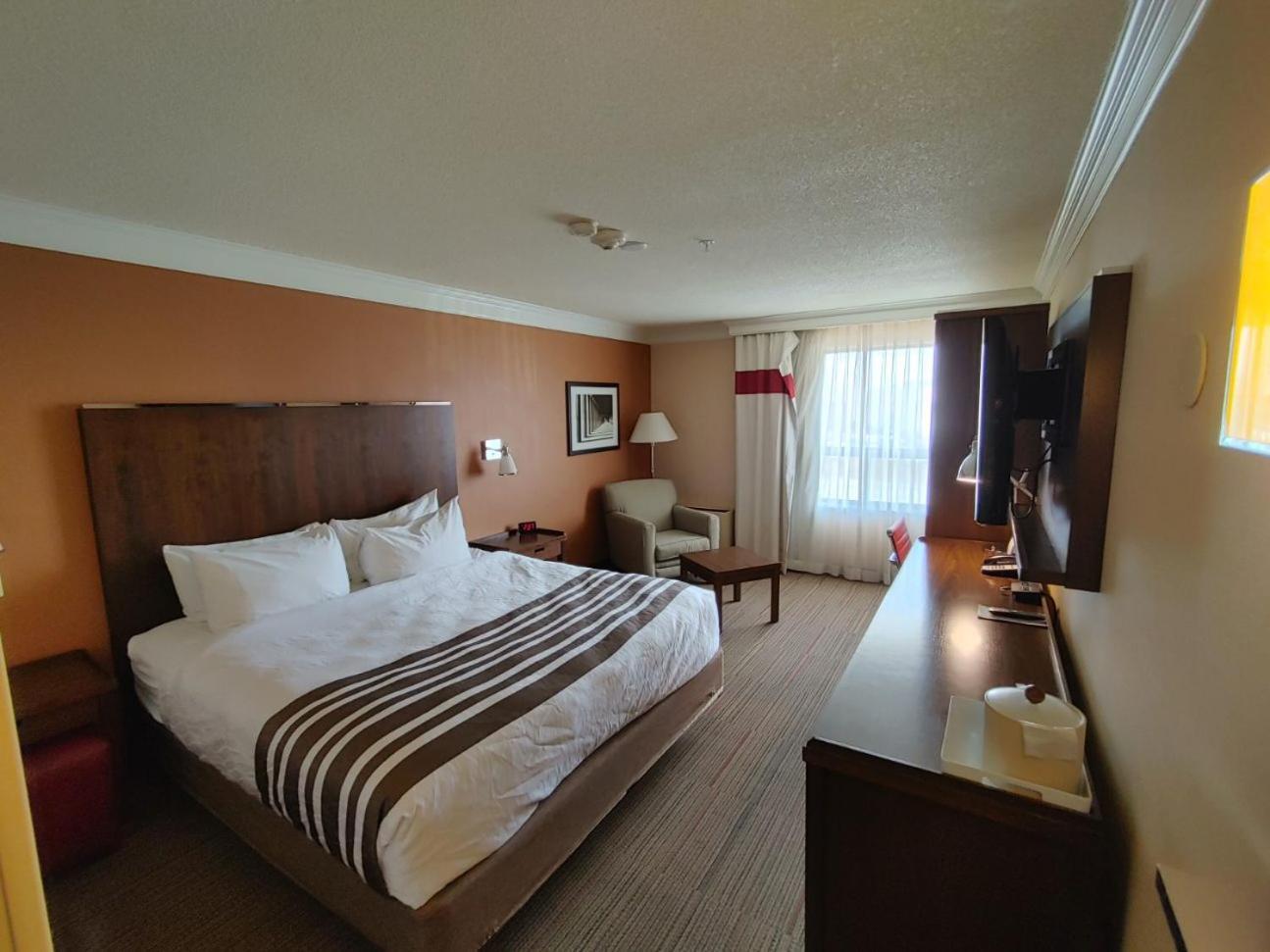 Waterloo Suites Hotel, Trademark Collection By Wyndham المظهر الخارجي الصورة